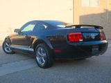 Used 2006 Ford Mustang Coupe image 4