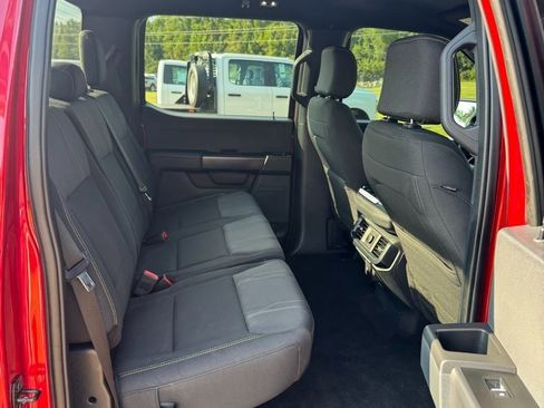 Used 2024 Ford F150 STX w/ STX Black Appearance Package image 12