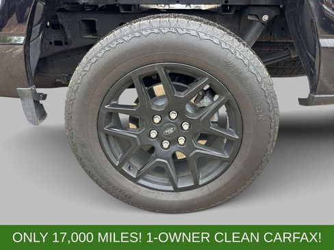 Used 2024 Ford F150 STX w/ STX Black Appearance Package AWD/4WD image 10
