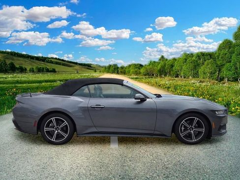 Used 2024 Ford Mustang Premium RWD image 7