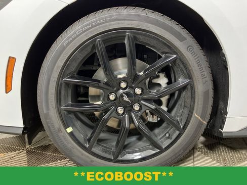 New 2025 Ford Mustang Premium w/ Mustang Nite Pony Package image 12