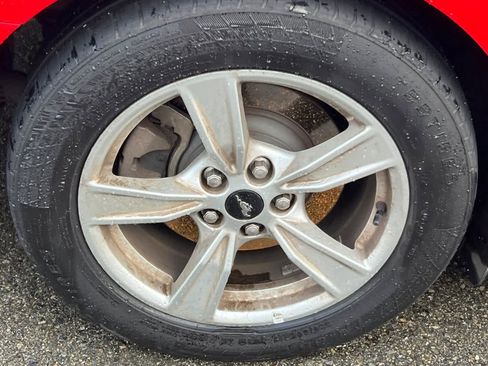 Used 2021 Ford Mustang EcoBoost image 14