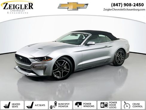 Used 2021 Ford Mustang Premium image 1