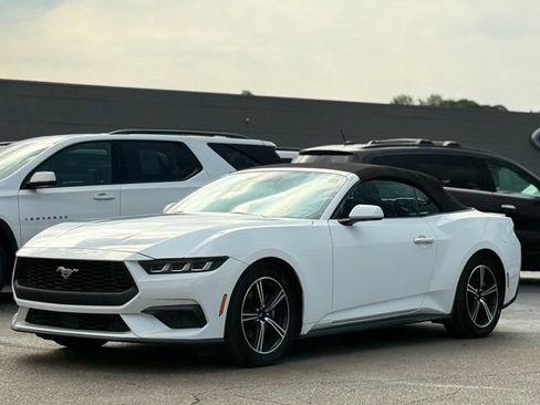 Used 2024 Ford Mustang Premium RWD image 45