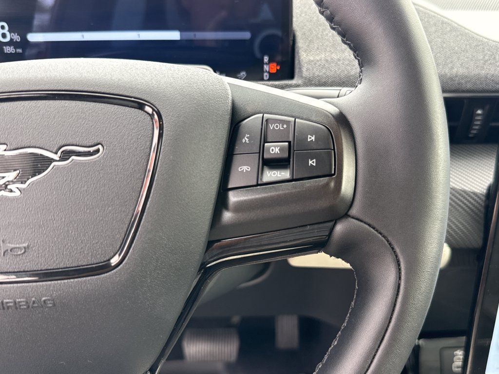 Used 2025 Ford Mustang Mach-E Premium RWD image 17