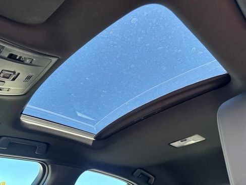 Used 2025 Lexus UX 300h AWD w/ Cold Area Package image 5