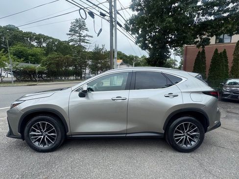 Used 2022 Lexus NX 350 AWD w/ Cold Area Package image 3