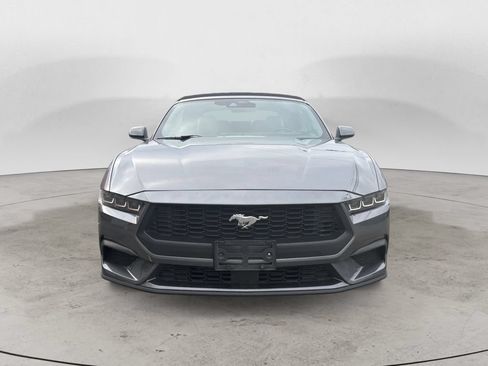 Used 2024 Ford Mustang Premium RWD image 8