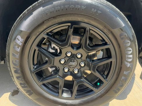 Used 2024 Ford F150 STX w/ STX Black Appearance Package RWD image 49