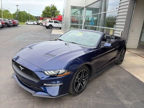 Used 2018 Ford Mustang Premium w/ Equipment Group 201A RWD image 2