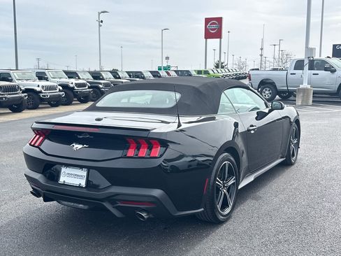 Used 2024 Ford Mustang Premium image 3