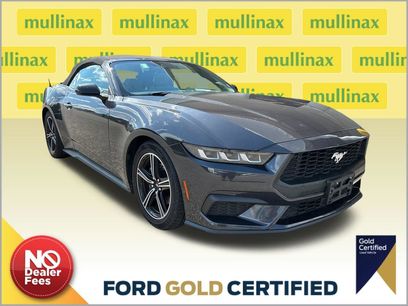Used 2024 Ford Mustang Premium