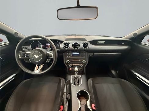 Used 2019 Ford Mustang Coupe RWD image 15
