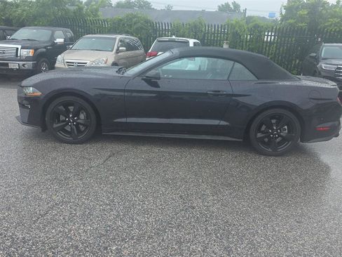 Used 2023 Ford Mustang GT Premium w/ Equipment Group 401A RWD image 3
