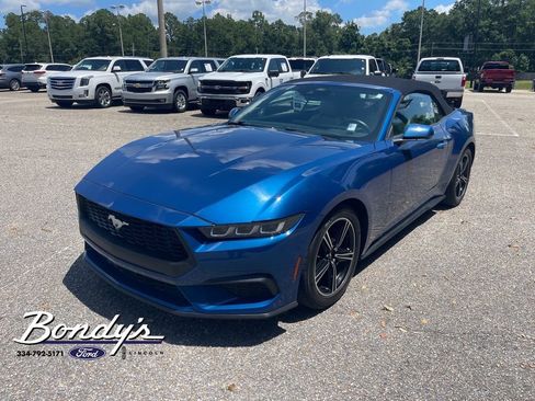 Used 2024 Ford Mustang Premium RWD image 3