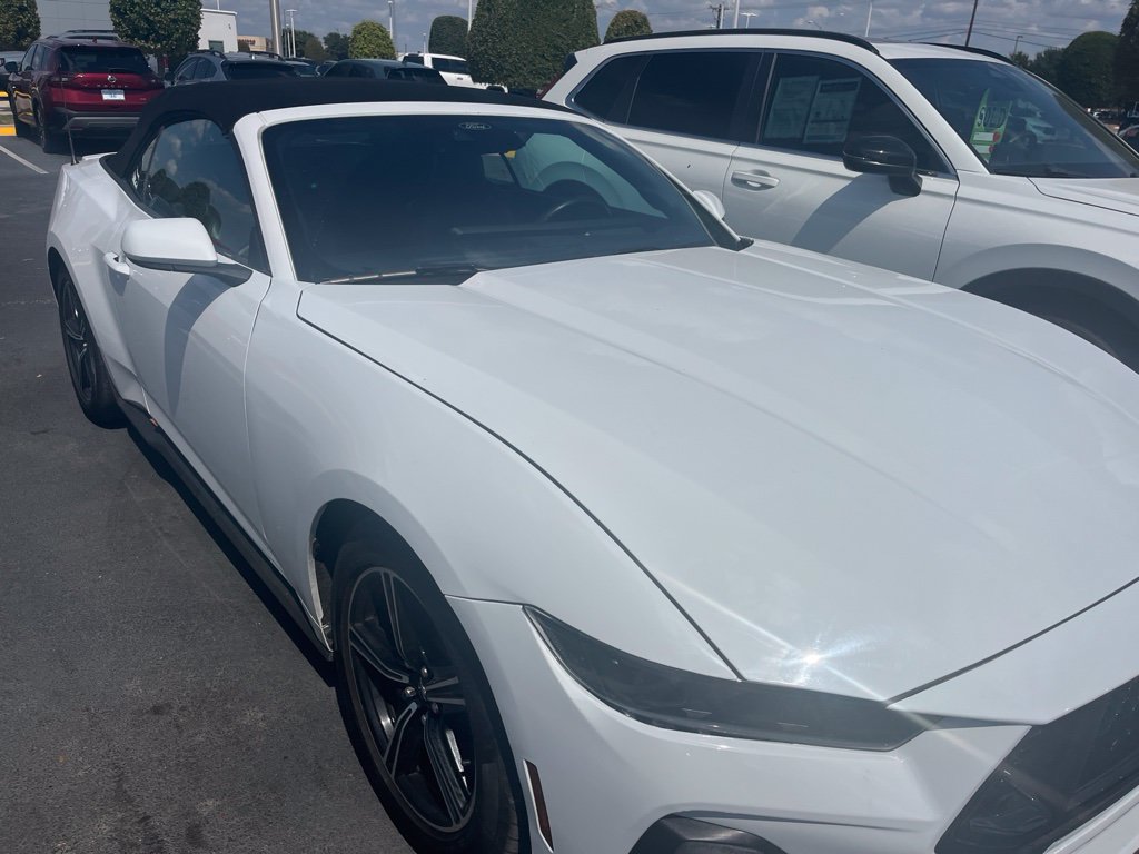 Used 2025 Ford Mustang Premium RWD image 3