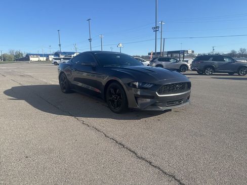 Used 2019 Ford Mustang Coupe image 1