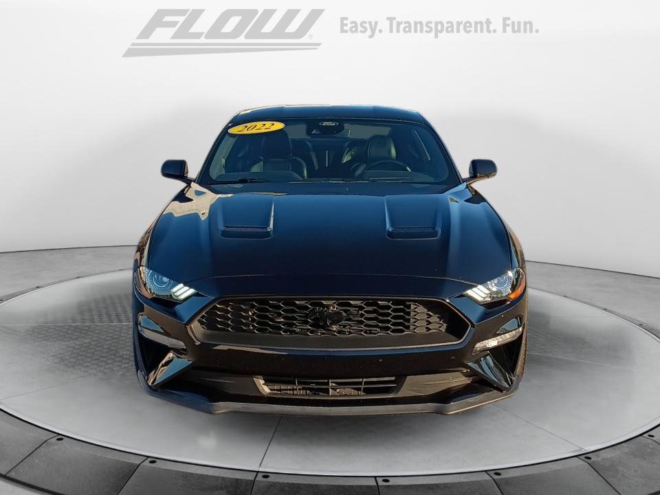 Used 2022 Ford Mustang Premium w/ Equipment Group 201A RWD image 3