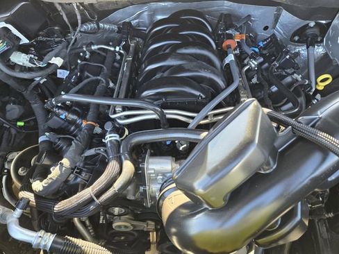 Used 2025 Ford F150 XLT w/ Equipment Group 301A Standard image 28