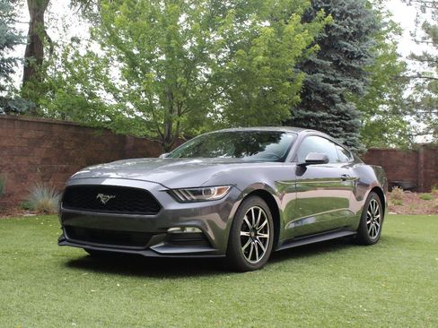 Used 2017 Ford Mustang Coupe RWD image 13