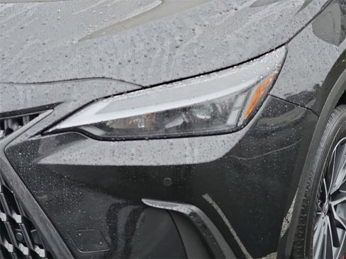 Certified 2025 Lexus NX 350h AWD w/ Cold Area Package image 32