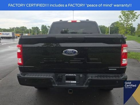 Used 2023 Ford F150 XL w/ STX Appearance Package AWD/4WD image 13