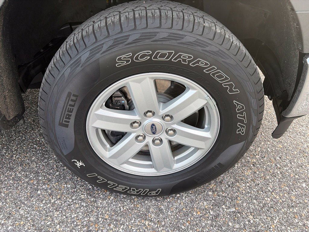 Used 2021 Ford F150 XLT w/ Equipment Group 301A Mid AWD/4WD image 5