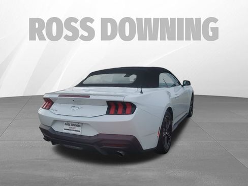 Used 2024 Ford Mustang Premium image 4