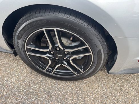 Used 2019 Ford Mustang GT w/ Equipment Group 301A RWD image 16