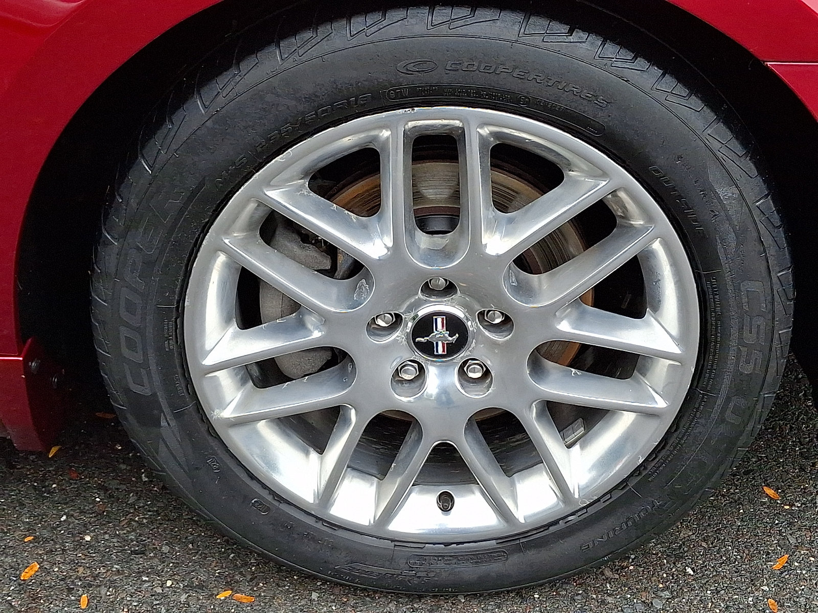 Used 2014 Ford Mustang Premium w/ Equipment Group 202A RWD image 8