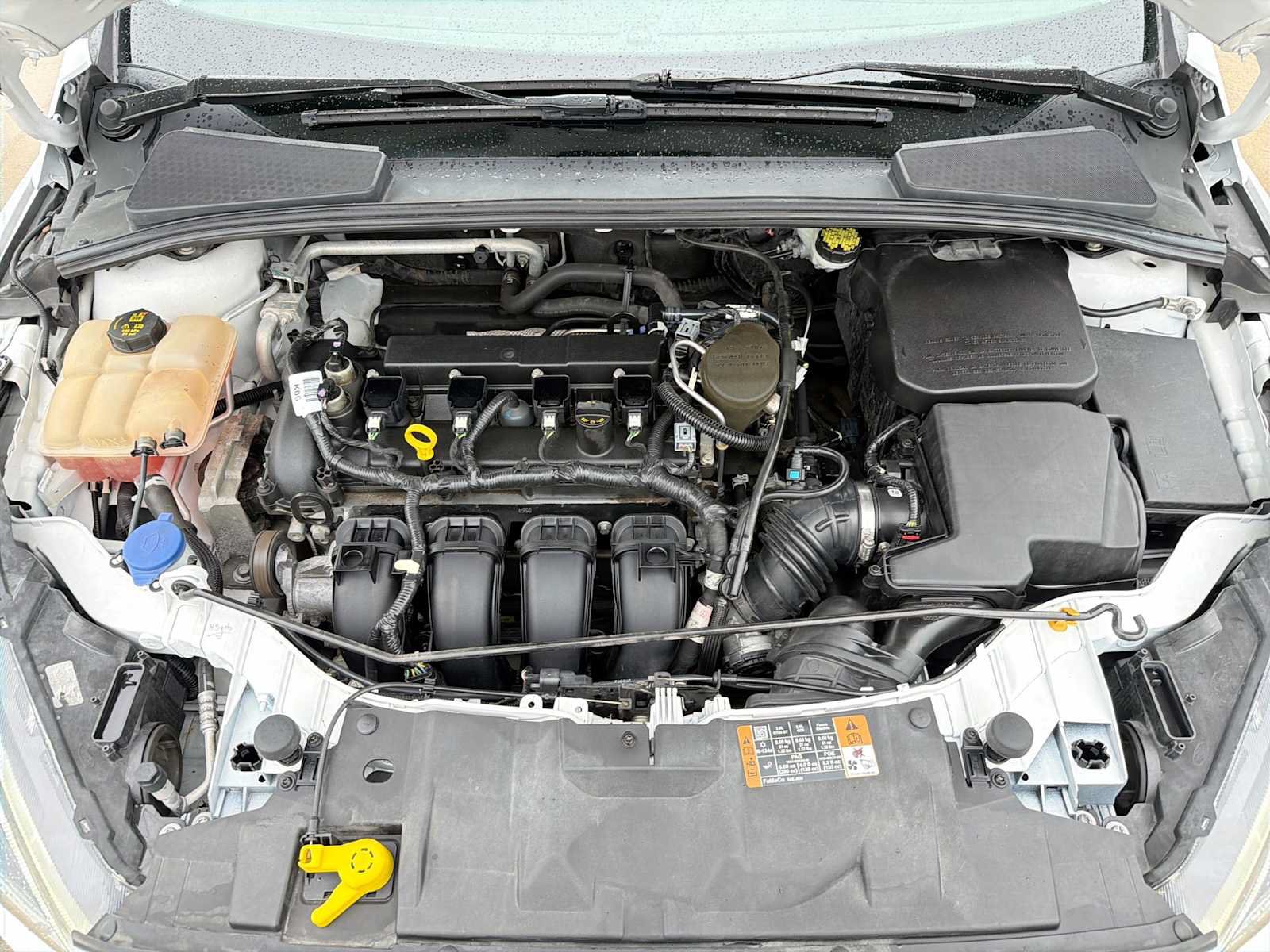 Used 2016 Ford Focus SE w/ Equipment Group 201A FWD image 11