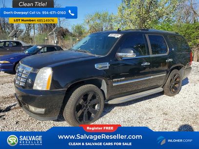 Used 2010 Cadillac Escalade 4WD Hybrid