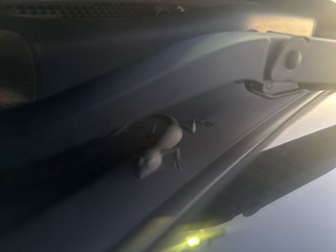 Used 2021 Jeep Compass 80th Special Edition image 7