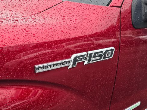 Used 2014 Ford F150 Platinum image 12
