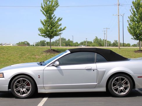 Used 2003 Ford Mustang Cobra RWD image 3