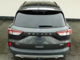 Used 2020 Ford Escape SEL image 6