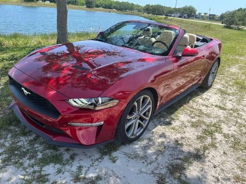 Used 2022 Ford Mustang Premium w/ Equipment Group 201A RWD image 1