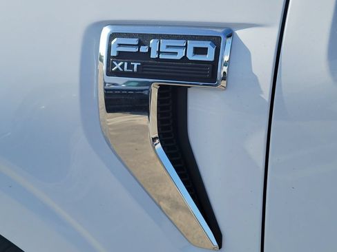 New 2025 Ford F150 XLT w/ Equipment Group 303A High RWD image 11