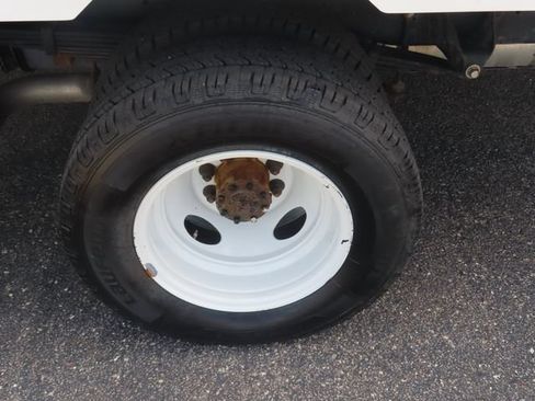 Used 2024 Ford E-450 and Econoline 450 Super Duty RWD image 13