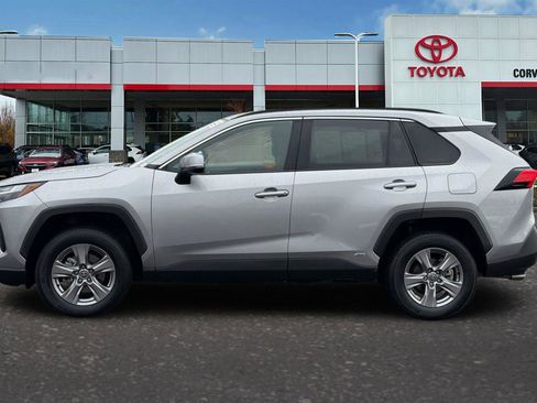 Certified 2025 Toyota RAV4 XLE image 7