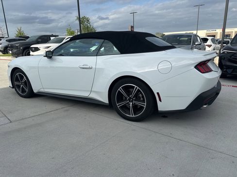 Used 2024 Ford Mustang Premium image 3