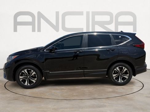 Used 2021 Honda CR-V Special Edition image 8