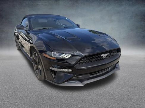 Used 2019 Ford Mustang Premium RWD image 4