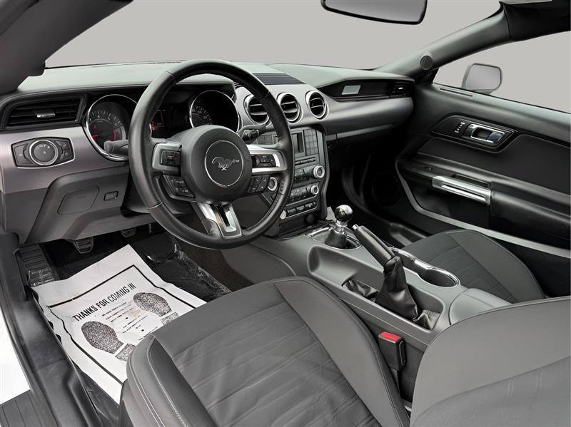 Used 2017 Ford Mustang GT RWD image 16