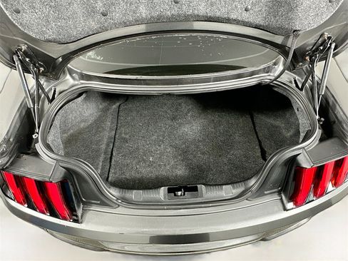 Used 2019 Ford Mustang EcoBoost image 25