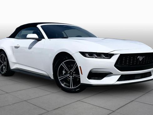 Used 2025 Ford Mustang Premium RWD image 3