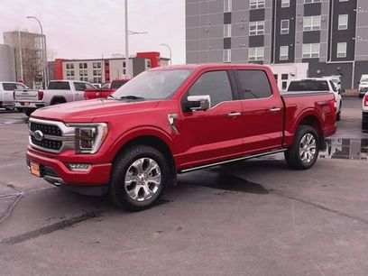 Used 2023 Ford F150 Platinum w/ Equipment Group 701A High