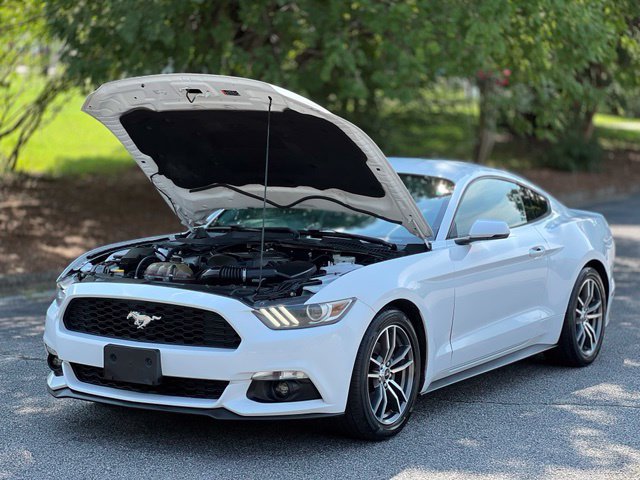Used 2017 Ford Mustang Premium w/ Equipment Group 201A RWD image 34