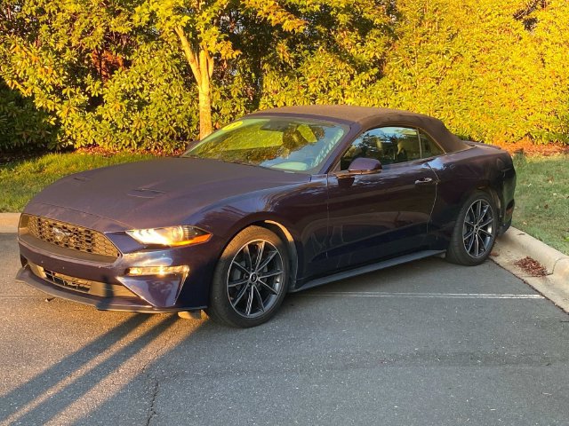 Used 2019 Ford Mustang Premium w/ Equipment Group 201A RWD image 3