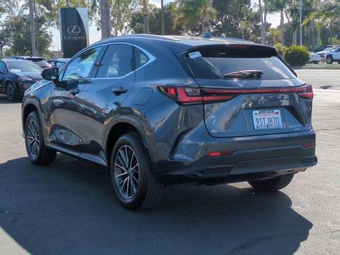 Used 2025 Lexus NX 350h AWD w/ Cold Area Package image 7